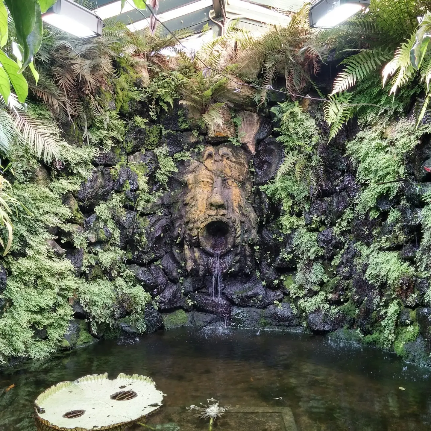 garden with body of water