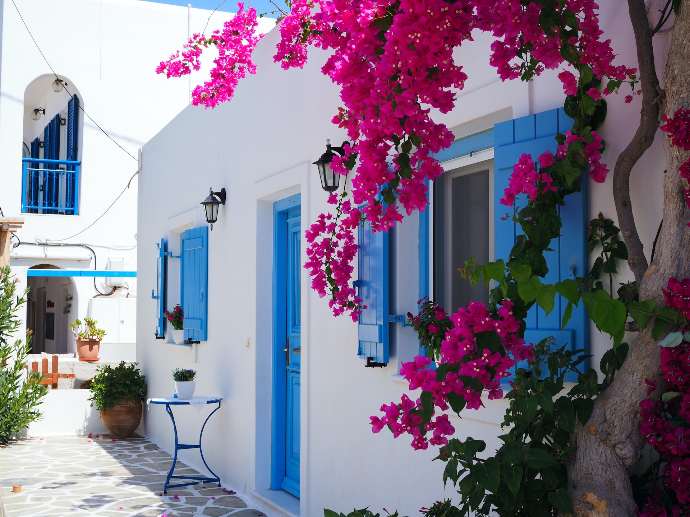 pink and white flower tree near blue and white concrete house during daytime