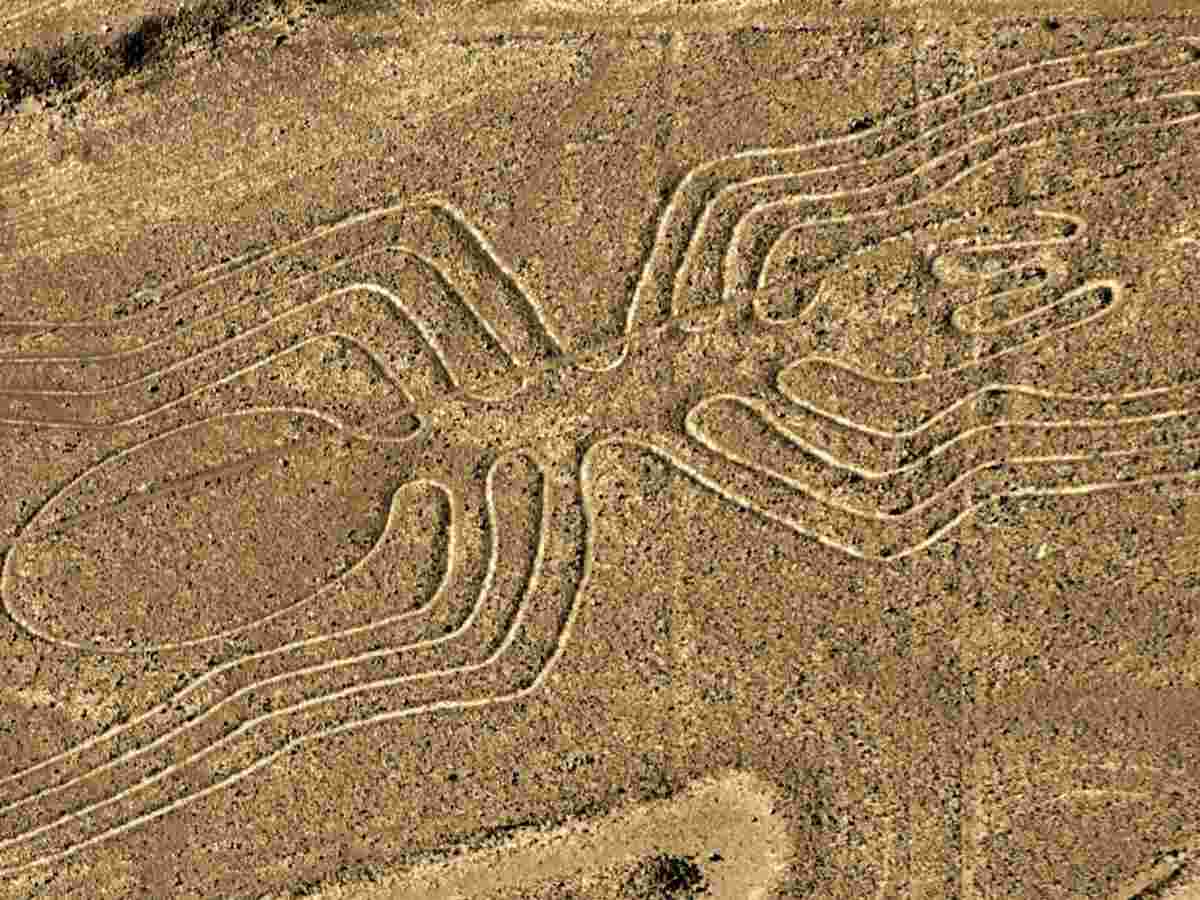 Liniile Nazca Peru Liniile Nazca Peru