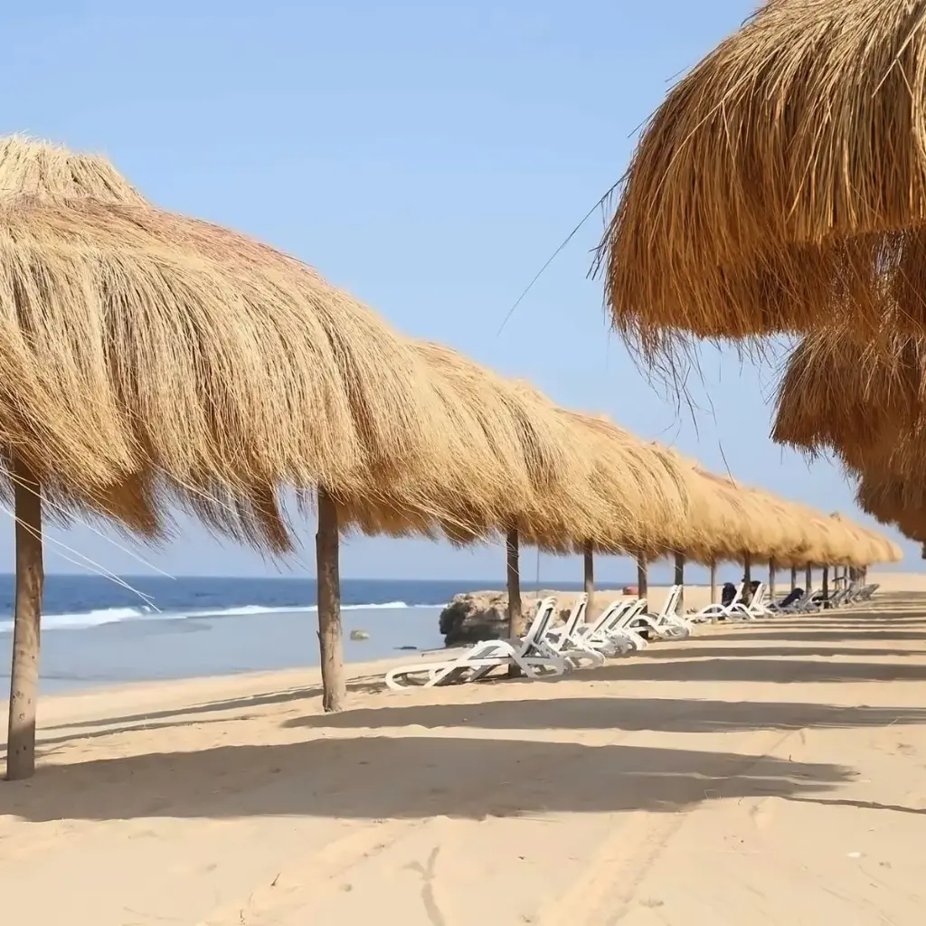 Amarina plaja.webp